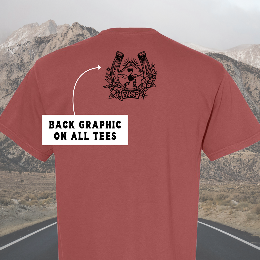 *Pre-order* PANIC Summer Tour Tees